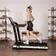 Беговая дорожка OXYGEN FITNESS ELISION Беговая дорожка OXYGEN FITNESS ELISION
