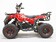 Квадроцикл детский GreenCamel Гоби K40 (36V 800W R6 Цепь) быстросъем. электр. Квадроцикл детский GreenCamel Гоби K40 (36V 800W R6 Цепь) быстросъем. электр.