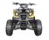 Квадроцикл GreenCamel Атакама T400 (60V 1500W R8 Дифференциал) пониженная электро Квадроцикл GreenCamel Атакама T400 (60V 1500W R8 Дифференциал) пониженная электро