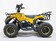 Квадроцикл GreenCamel Гоби K45 (36V 800W R6 Цепь) быстросъем, ножной тормоз электр.