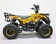 Квадроцикл GreenCamel Гоби K45 (36V 800W R6 Цепь) быстросъем, ножной тормоз электр.
