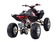 Квадроцикл спортивный SHARMAX GX-Cruiser 320 (P)