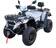 Квадроцикл взрослый GreenCamel Linhai LH80DA 4x4 (7,5kW 150Ah 65 км/ч) Квадроцикл взрослый GreenCamel Linhai LH80DA 4x4 (7,5kW 150Ah 65 км/ч)