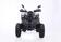 Квадроцикл взрослый YACOTA WARRIOR 200 PRO бензин Квадроцикл взрослый YACOTA WARRIOR 200 PRO бензин