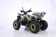 Квадроцикл взрослый YACOTA WARRIOR 200 PRO бензин Квадроцикл взрослый YACOTA WARRIOR 200 PRO бензин