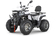 Квадроцикл YACOTA VIKING 200 PRO Квадроцикл YACOTA VIKING 200 PRO