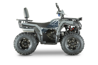 Квадроцикл YACOTA VIKING NEW 200 PRO