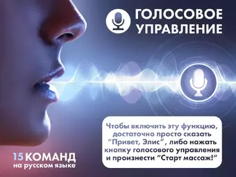 Массажное кресло FUJIMO ? FLEXOR F500 Бежевый,Коричневый