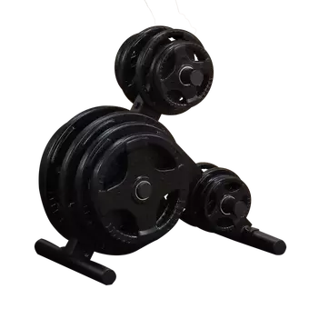 Подставка для олимпийских дисков профессиональная BODY SOLID OWT24