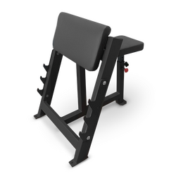 Скамья Скотта Bronze Gym AL-303
