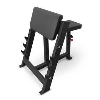 Скамья Скотта Bronze Gym AL-303